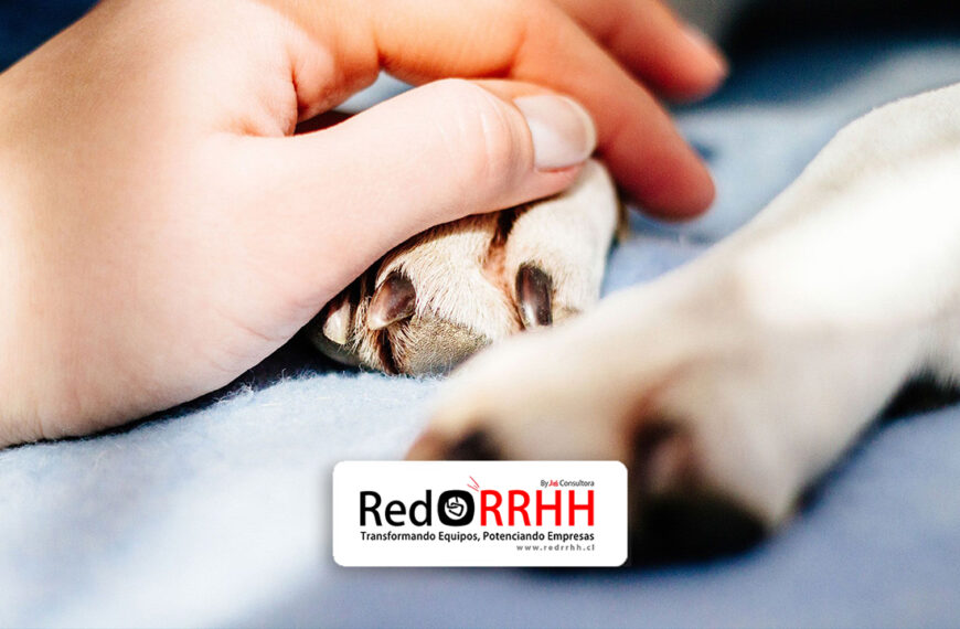 Finanzas / Blog – REDRRHH.cl / Descubre las últimas noticias y actualizaciones 10 La propuesta, que ahora continúa su tramitación en el Senado, representa un avance pionero en Latinoamérica y abre un debate relevante para la gestión de personas, políticas de bienestar laboral y corresponsabilidad emocional dentro de las empresas.